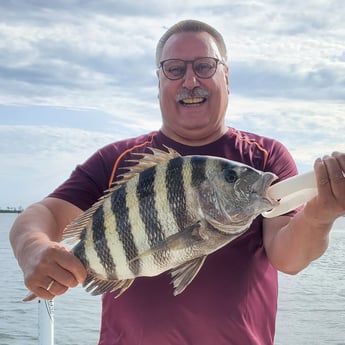 Sheepshead fishing in Mount Pleasant, South Carolina