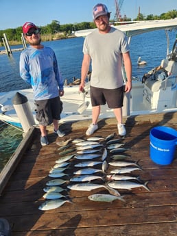 Bluefish, Spanish Mackerel Fishing in Pensacola, Florida