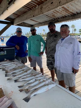 Speckled Trout / Spotted Seatrout fishing in Galveston, Texas