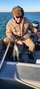 Walleye Fishing in Port Sanilac, Michigan