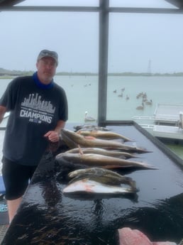 Redfish, Sheepshead, Speckled Trout / Spotted Seatrout fishing in Galveston, Texas