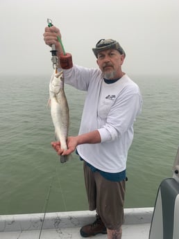 Speckled Trout Fishing in Matagorda, Texas