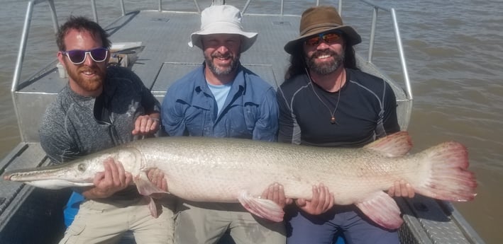 Alligator Gar fishing in Livingston, Texas