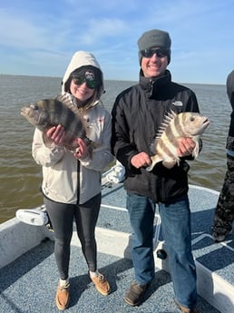 Sheepshead Fishing in Galveston, Texas