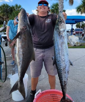 Cobia, King Mackerel / Kingfish fishing in Clearwater, Florida