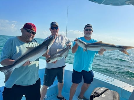 Cobia Fishing in Key West, Florida