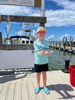 False Albacore, Kingfish Fishing in Destin, Florida