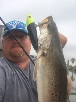 Speckled Trout Fishing in Corpus Christi, Texas