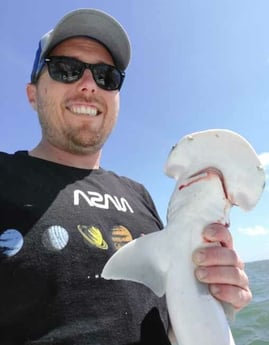 Bonnethead Shark fishing in Galveston, Texas