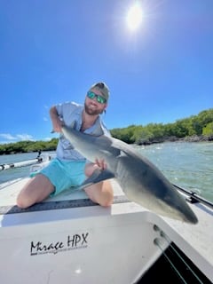 Bull Shark Fishing in Wrightsville Beach, North Carolina