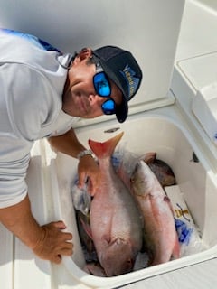 Mutton Snapper Fishing in Islamorada, Florida