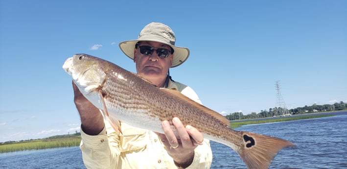 Redfish fishing in Jacksonville, Florida