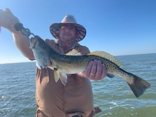 Speckled Trout Fishing in Corpus Christi, Texas