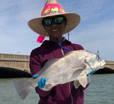 Black Drum fishing in Surfside Beach, Texas