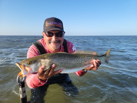 Speckled Trout / Spotted Seatrout Fishing in Rio Hondo, Texas