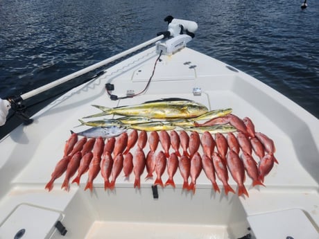 Fishing in Pensacola, Florida