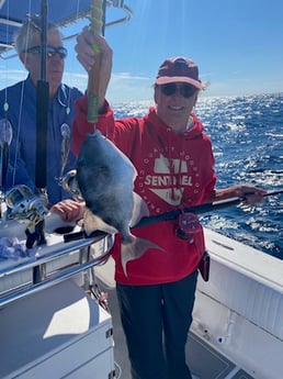 Triggerfish Fishing in Destin, Florida