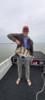 Sheepshead Fishing in Port Isabel, Texas