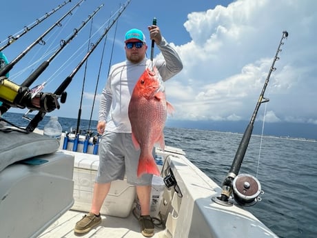 Red Snapper Fishing in Destin, Florida