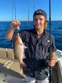 Red Snapper fishing in Niceville, Florida