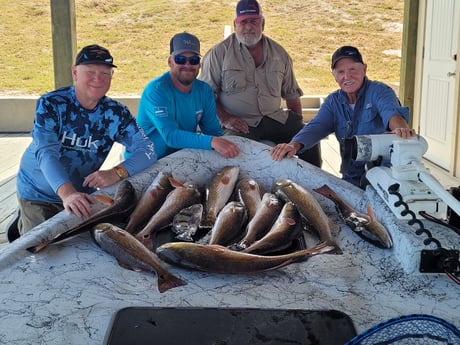 Black Drum, Redfish Fishing in Port O&#039;Connor, Texas