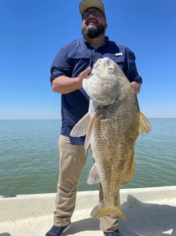 Black Drum fishing in Rockport, Texas