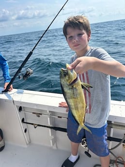 Mahi Mahi Fishing in Destin, Florida