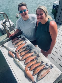 Mangrove Snapper, Speckled Trout / Spotted Seatrout fishing in Sarasota, Florida