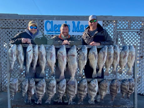 Redfish, Speckled Trout / Spotted Seatrout fishing in Corpus Christi, Texas