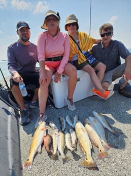 Mangrove Snapper, Redfish, Speckled Trout / Spotted Seatrout fishing in Galveston, Texas