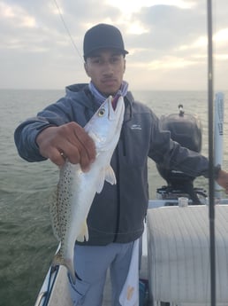 Speckled Trout Fishing in Galveston, Texas