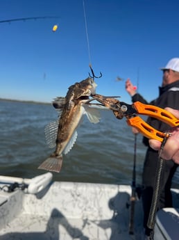 Fishing in Matagorda, Texas