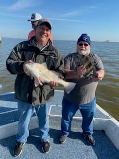 Black Drum Fishing in Galveston, Texas