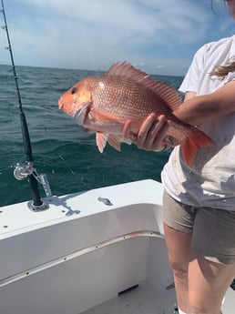 Triggerfish fishing in Orange Beach, Alabama