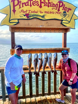 Redfish, Speckled Trout / Spotted Seatrout fishing in South Padre Island, Texas