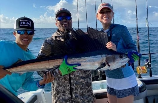 Sailfish Fishing in Key Largo, Florida