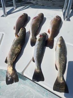 Fishing in Aransas Pass, Texas