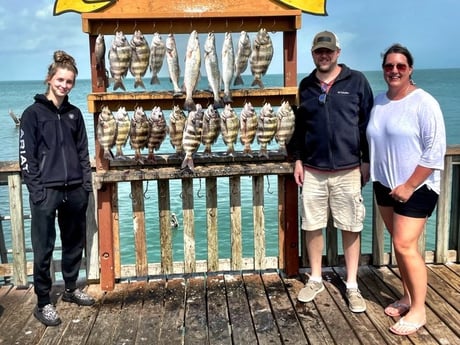 Black Drum, Sheepshead, Speckled Trout Fishing in South Padre Island, Texas