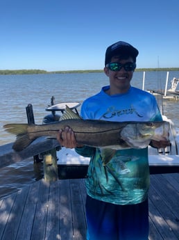 Snook Fishing in Chokoloskee, Florida