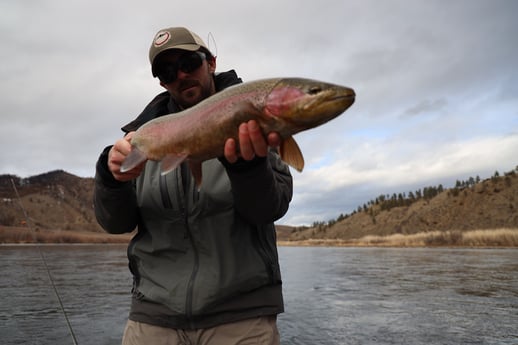 Cutthroat Trout fishing in Deer Lodge, Montana