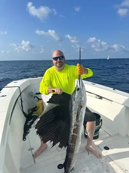 Sailfish Fishing in Key Largo, Florida