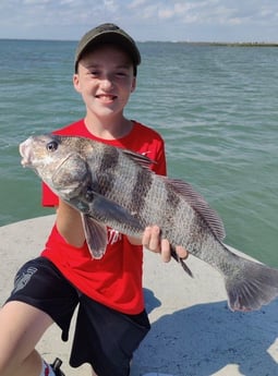 Black Drum fishing in Port Aransas, Texas