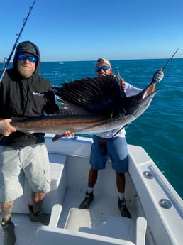 Sailfish Fishing in Pompano Beach, Florida