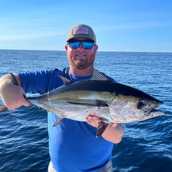 Blackfin Tuna fishing in Santa Rosa Beach, Florida