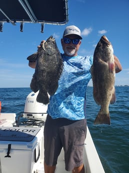 Gag Grouper, Tripletail fishing in St. Petersburg, Florida