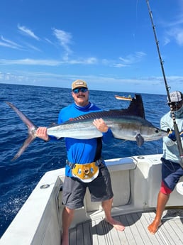 Blue Marlin Fishing in Punta Cana, Dominican Republic