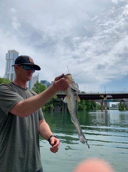 Largemouth Bass fishing in Austin, Texas