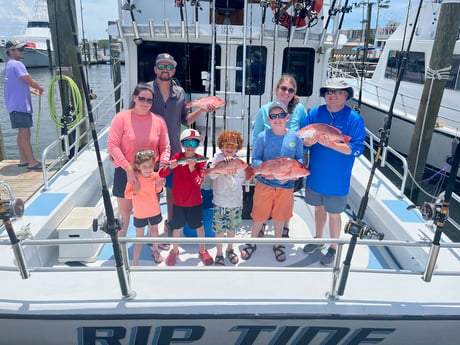 Red Snapper, Spanish Mackerel Fishing in Orange Beach, Alabama