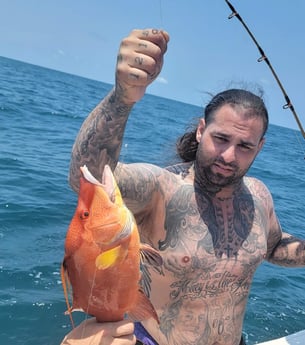 Hogfish fishing in Clearwater, Florida