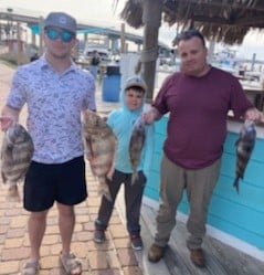 Sheepshead Fishing in Orange Beach, Alabama